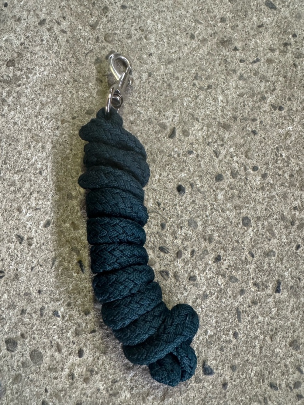 Green lead rope equestrian